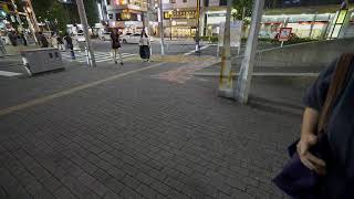 【4K Live】Tokyo, Naka-meguro walk from day to nigh