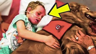 After Hugging His Dog Goodbye, Sick Boy Experiences A Miracle