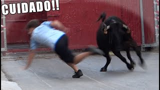 MIRA DONDE PONES EL PIE,  CUIDADO!! 😱😱 ALBALAT PEÑA EL POAL 2024 TOROS TV