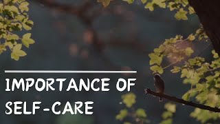 The Power of Self Care -  A Journey to Wellness