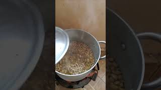 Boiling Cereals//freezer meals//batch cooking @Viollahs diary