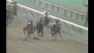 1990 Spinaway Stakes