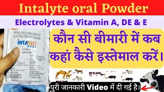 Intalyte  Powder intas | Intalyte Powder | Electrolytes | Vitamin A D3 & E.