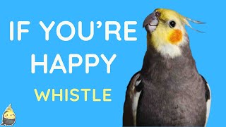 How to Teach Your Cockatiel to Sing - If You're Happy 3 Hour Whistle Training