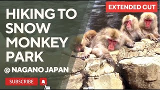 Diaries of a Happy Feet: 🚶 HIKING to Snow Monkey Park Kanbayashi Onsen  上林温泉 Japan 🇯🇵🗾 [4K] [CC ]