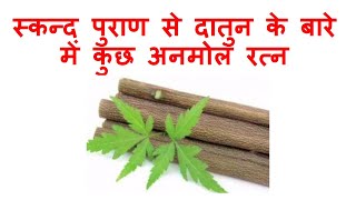 Words of Wisdom about Daatun (Teeth Cleaning Twig) from Skand Puran