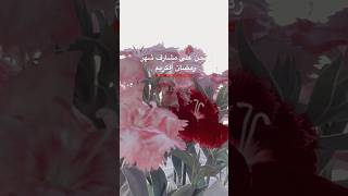 مرحبا بك يا شهر الصيام ❤️🌿