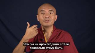 Медитация. Ум и тело. I часть. ©  Мингьюр Ринпоче  ( Mind and Body Part I © Mingyur Rinpoche)