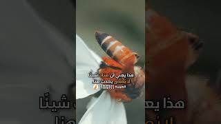 كل الكائنات تقول بسم الله .. سبحان الله #shorts