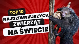 🦎 TOP 10 NAJDZIWNIEJSZYCH ZWIERZĄT NA ŚWIECIE! 🌟