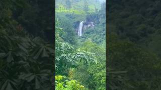 Waterfalls in Sri Lanka 🇱🇰 / 😎 ♻️🏞️💧 #nature #Waterfalls #srilanka #travel