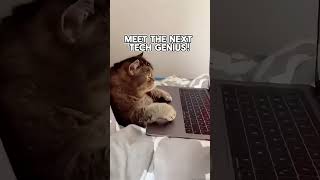 Cats Doing HUMAN Things! 😱 You Won’t Believe This!