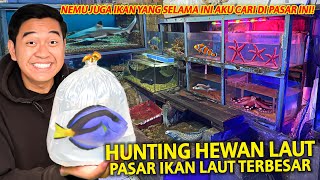 HUNTING HEWAN LAUT YANG DICARI-CARI KE PASAR IKAN AIR LAUT TERBESAR DI JAKARTA!