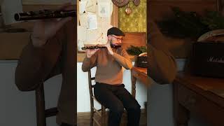 The humours of Scarrif on irish flute #irishflute #woodenflute #flutetraversiere