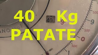 40 Kg di patate Ratte