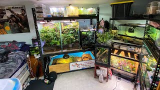 NEW YEAR, NEW REPTILE ROOM!! | Reptile Room tour January 2020!