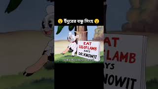 ইঁদুরের বন্ধু সিংহ 🤣🤣 || #short