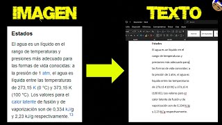 Cómo copiar texto de una IMAGEN O VIDEO en Windows 10/11