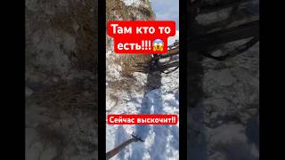 Кто же там??? 😳    #охота #охотник #заяц #кабан #охотанакабана