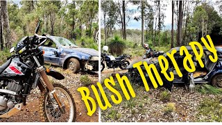 Suzuki DR 650 & Himalayan bush run