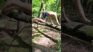 Highlights From my Intro to primal parkour video.