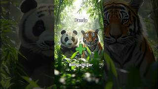 Panda and Bengal Tiger Hybrid: The Striped Giant ! #animal  #animalfusion #fusion #animals