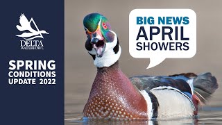 Spring Conditions Update 2022 | Delta Waterfowl