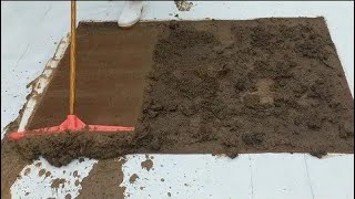 You haven't seen such a dirty carpet|Full of terrible mud|asmr Video.