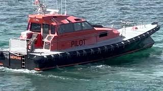 Nepean picks the pilot of their jetty, Queenscliff , Victoria, Australia.