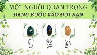 ✨Người quan trọng chuẩn bị bước vào đời bạn là ai?🔮 (Timeless) | The Merlin Tarot