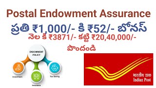 Postal Life Insurance in Telugu