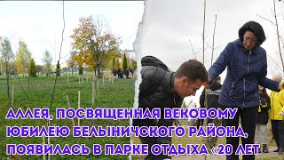 Аллея, посвященная вековому юбилею Белыничского района, появилась в парке отдыха в Белыничах