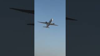 Egypt air 787 takeoff from DUBAI