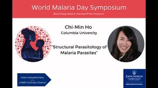 Exploring Malaria Parasite Structures | Chi Min Mimi Ho