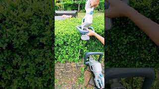 Hedge Trimmer Small or large 🤔 | what have I done!!