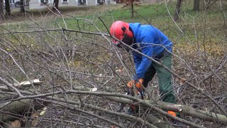 Dobrovolníci pokračují s úpravou sadů na Svaté Hoře