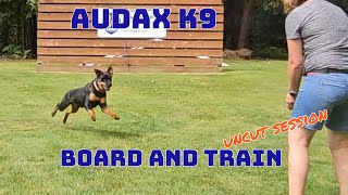 I Spent 5 Weeks at Audax K9 and Got ASTONISHING Results