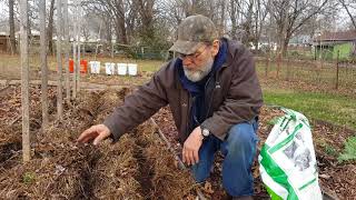 planting wet ground