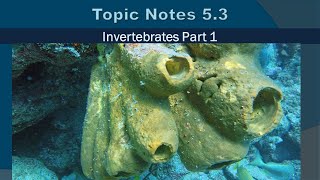 Topic Notes 5.3: Invertebrates Part 1