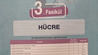 Testokul TYT  Biyoloji konu anlatım föy-Hücre (Mitokondri,Plastidler)