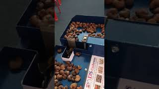 Cashew Shelling Machine semiautomatic Machine Enquiries What's app number 7598143736