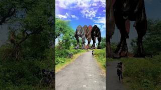 Big Dinosaur chase T-Rex chasing part- 893 #shorts #dinosaur #youtube #dinosaurs #youtubeshorts