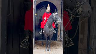 King’s Guard Horses 🐎  #royalguards #london #history #viralvideo #tourist #horseguard #tiktok