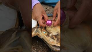 Pearl in Oyster || #short #shortvideo #gemstone #quartz #shorts #stone