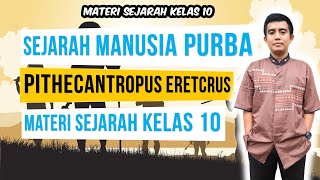 SEJARAH MANUSIA PURBA PITHECANTROPUS ERECTUS | MATERI SEJARAH KELAS 10 TENTANG MANUSIA PURBA