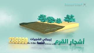 التقرير السنوي لـ ‎#هيئة_البيئة لعام 2022م.