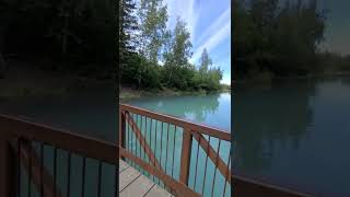 Eklutna Tailrace, Alaska just off the Old Glen Hwy. The salmon are jumping!