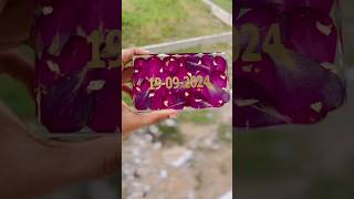 Preserve your fav in resin #trendingvideo #resin_by_charitha #trendingvideo #viralvideo #latestvideo