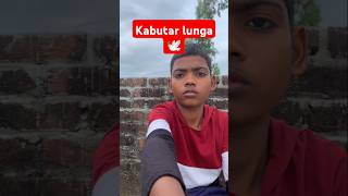 🕊️Kabutar lunga #trending #kabutar #shorts #ytshorts #video #pigeon #kabootr