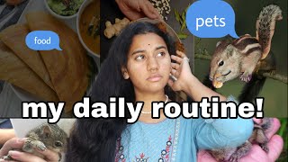 DAY- 1 Daily Routine || Pets || Unboxing ||vlog Collaborations || Squirrel 🐿 || Food 🍲 || Lazyvlog.